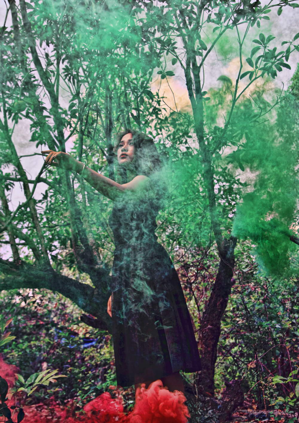 Smokebomb2017-11.png