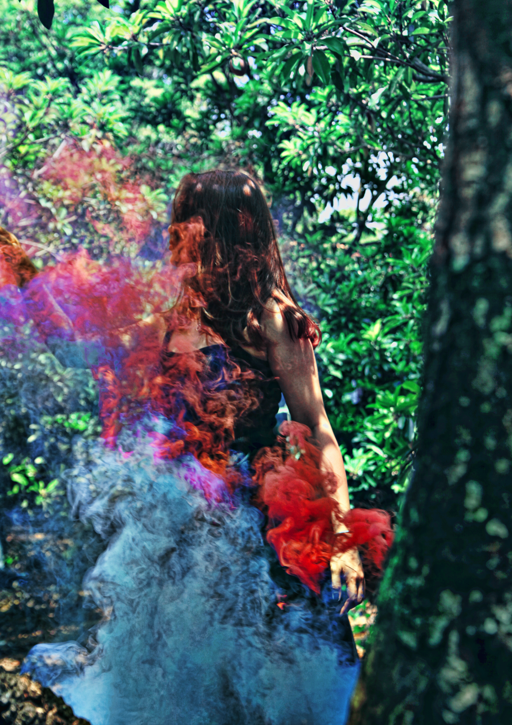 Smokebomb2017-14.png